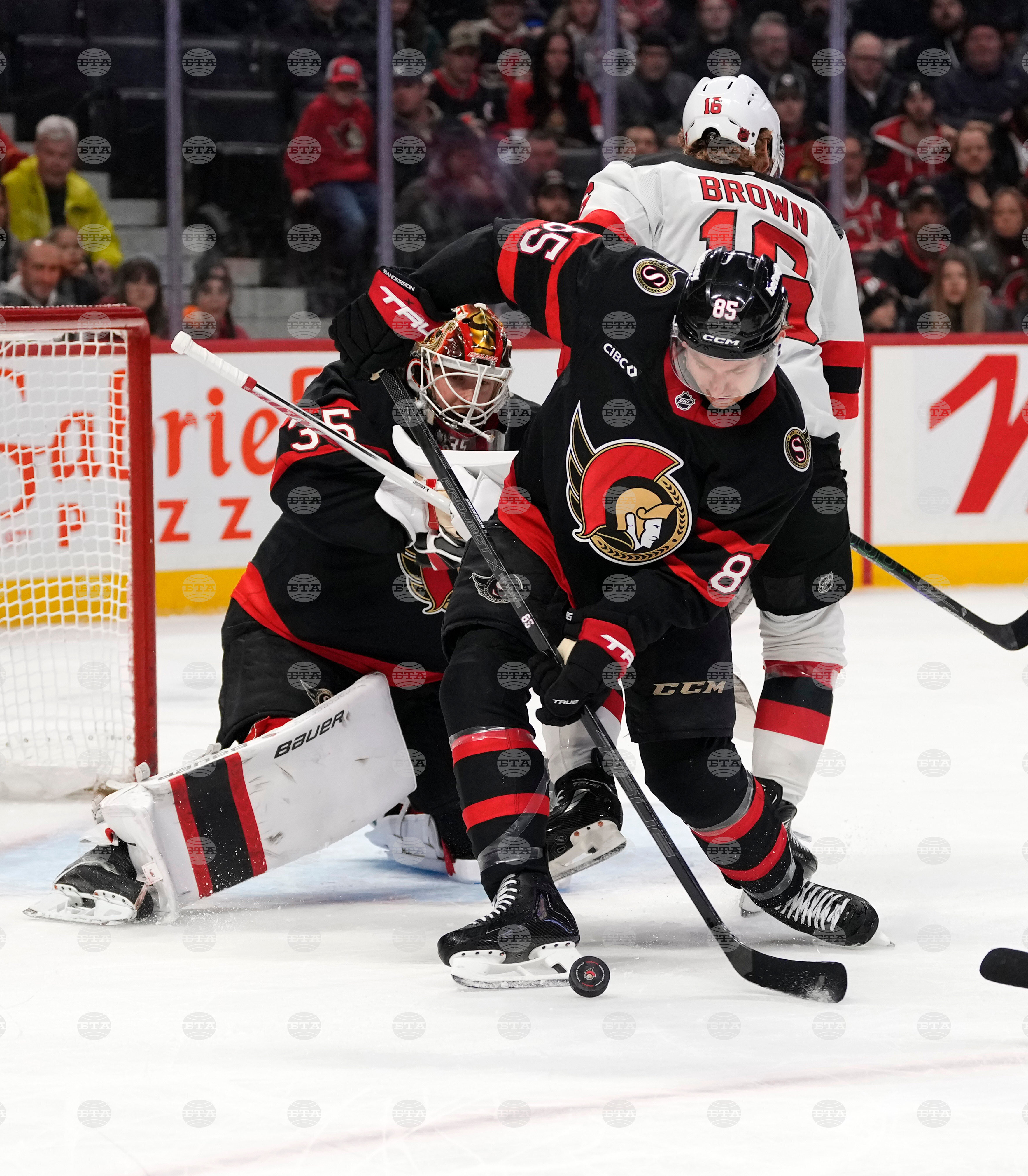 Devils Senators Hockey