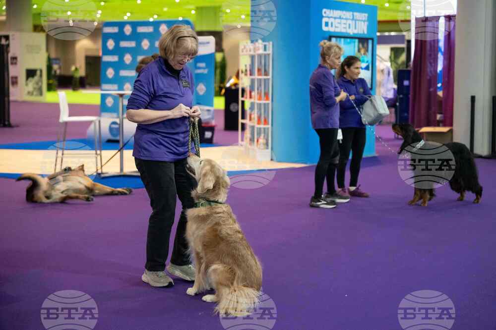 Westminster Dog Show