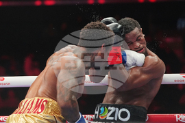 Williams Toussaint Boxing