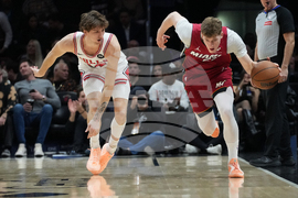 Bulls Heat Basketball