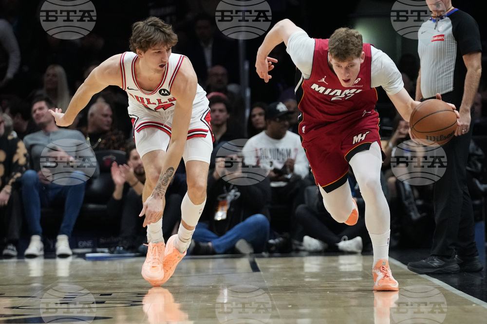 Bulls Heat Basketball