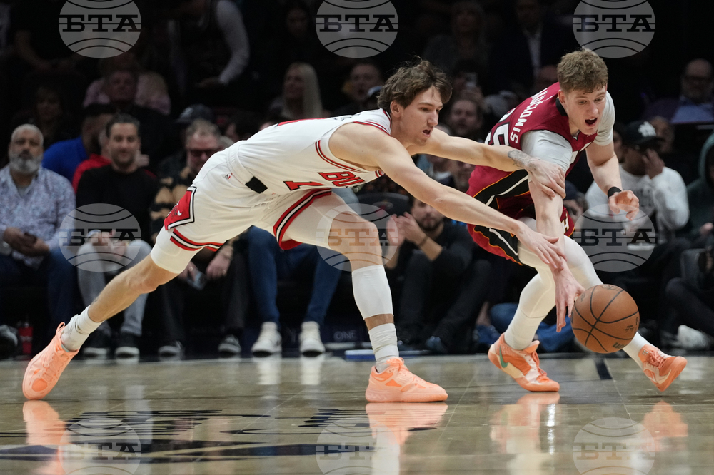 Bulls Heat Basketball