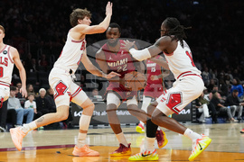 Bulls Heat Basketball