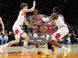 Bulls Heat Basketball