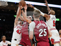 Bulls Heat Basketball