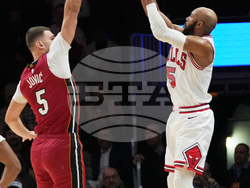 Bulls Heat Basketball