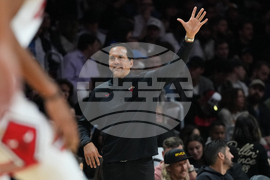 Bulls Heat Basketball