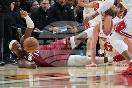 Bulls Heat Basketball