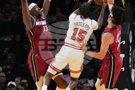 Bulls Heat Basketball