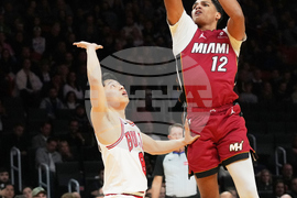 Bulls Heat Basketball