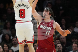 Bulls Heat Basketball