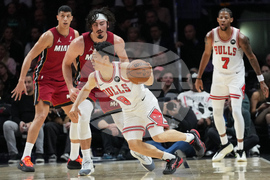 Bulls Heat Basketball