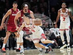 Bulls Heat Basketball