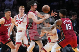 Bulls Heat Basketball