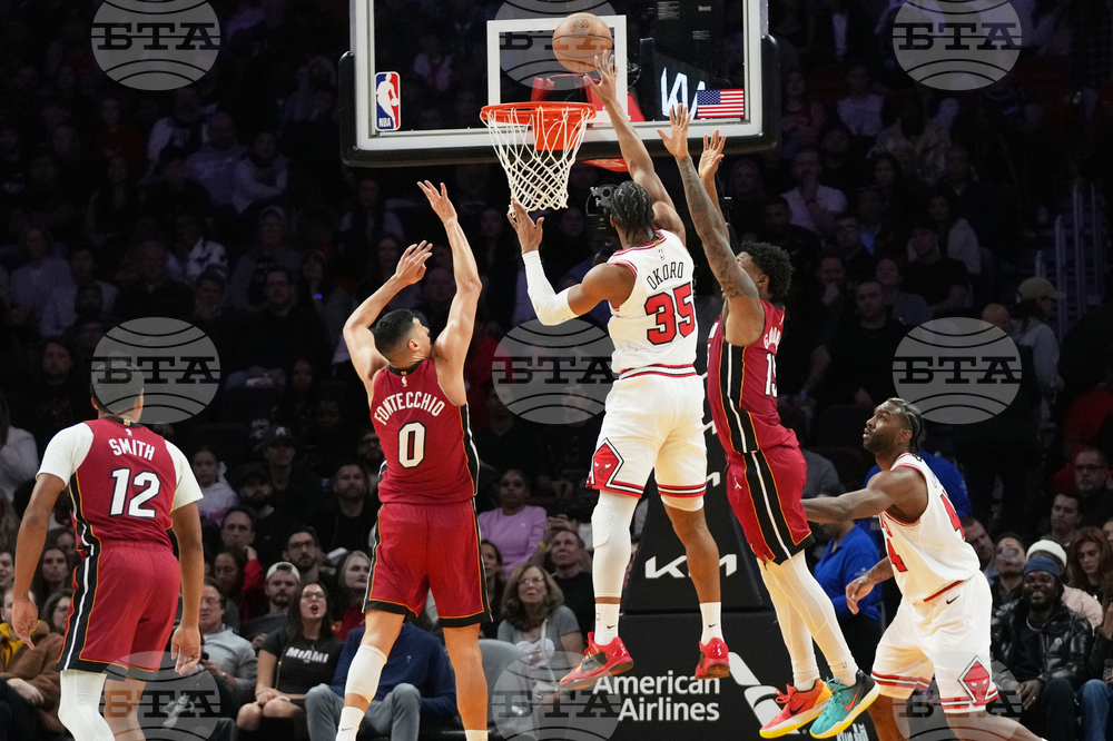 Bulls Heat Basketball