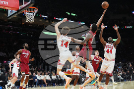 Bulls Heat Basketball