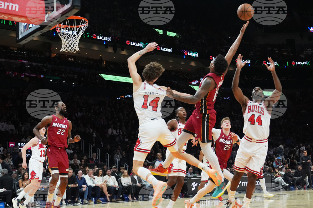 Bulls Heat Basketball