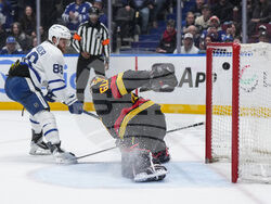 Maple Leafs Canucks Hockey