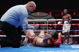 Carrington Castro Boxing