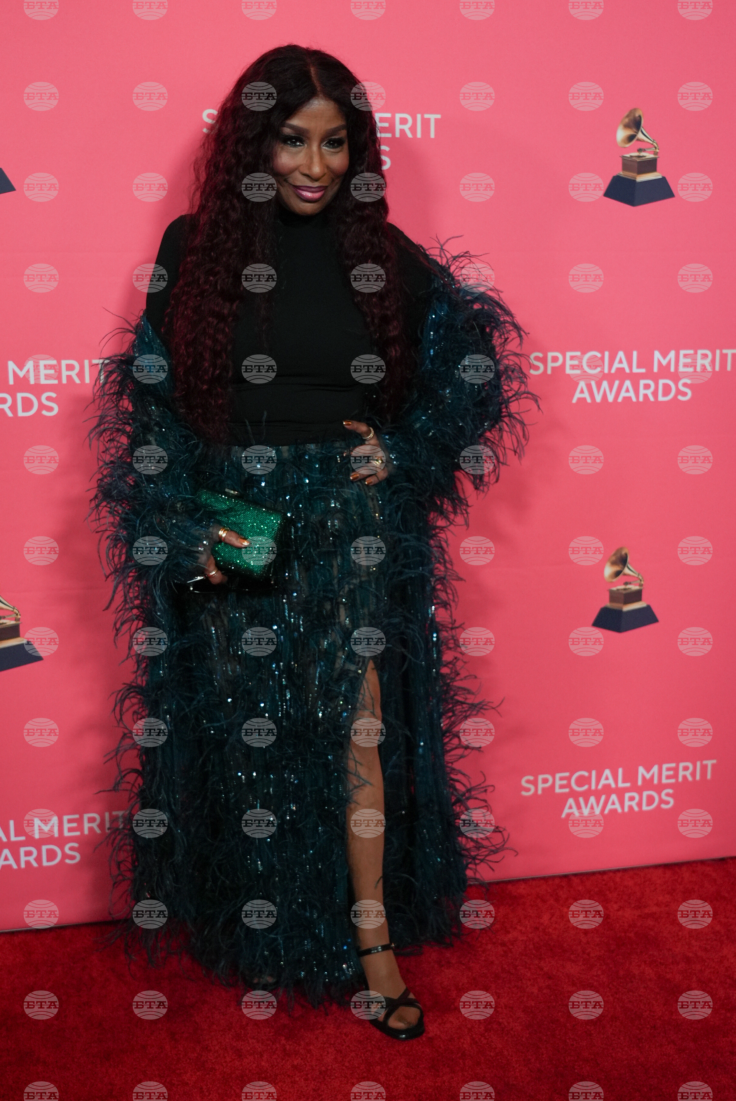 2026 Recording Academy's Special Merit Awards - Arrivals