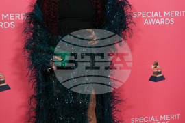 2026 Recording Academy's Special Merit Awards - Arrivals