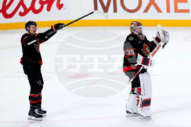 Devils Senators Hockey