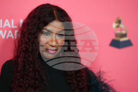 2026 Recording Academy's Special Merit Awards - Arrivals