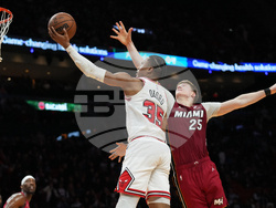 Bulls Heat Basketball