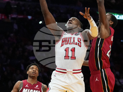 Bulls Heat Basketball