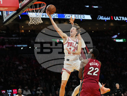 Bulls Heat Basketball