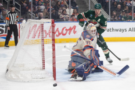 Wild Oilers Hockey