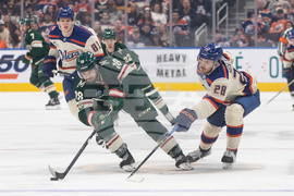 Wild Oilers Hockey