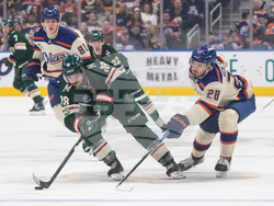 Wild Oilers Hockey