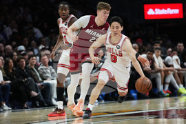 Bulls Heat Basketball