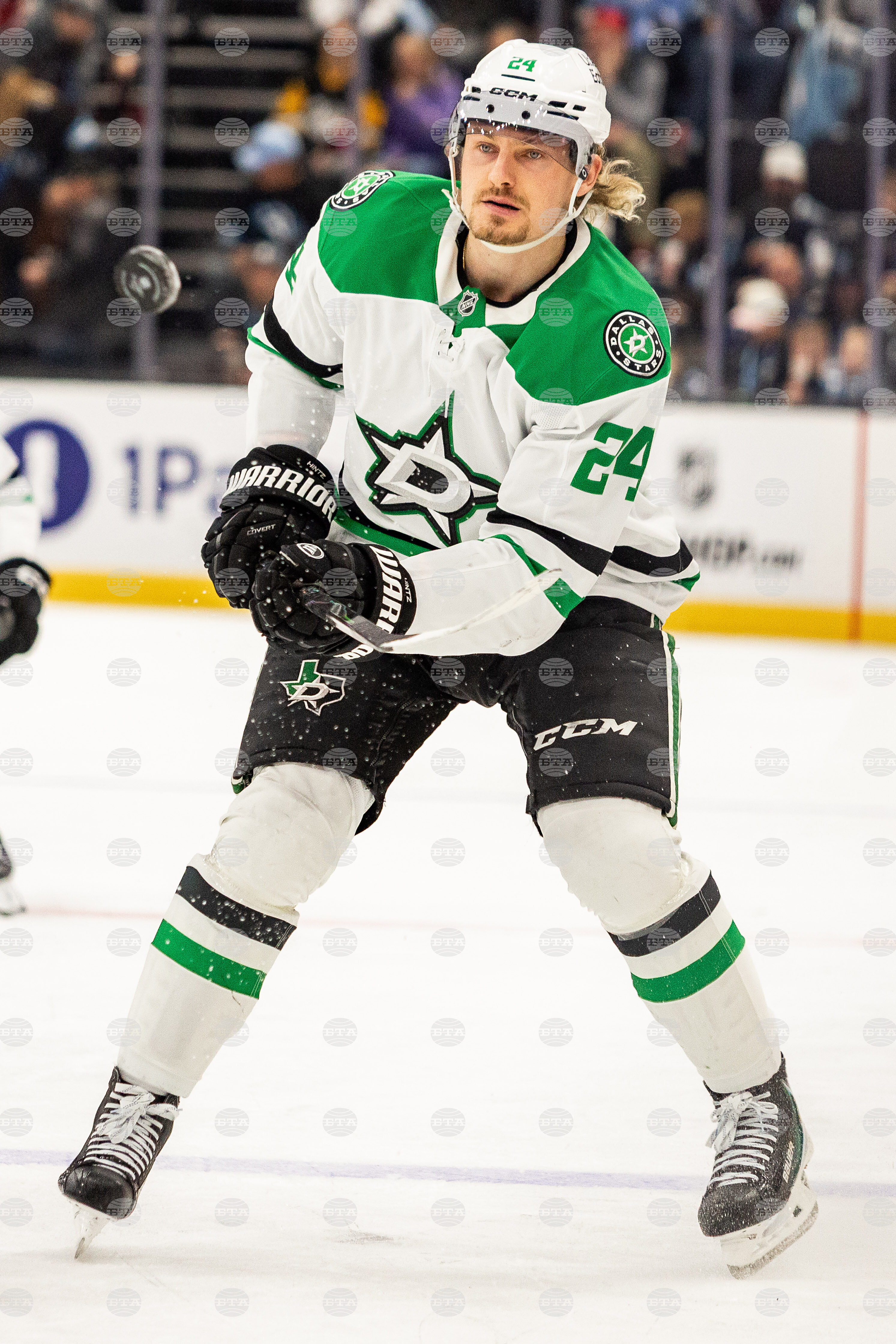 Stars Mammoth Hockey