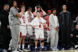 Bulls Heat Basketball