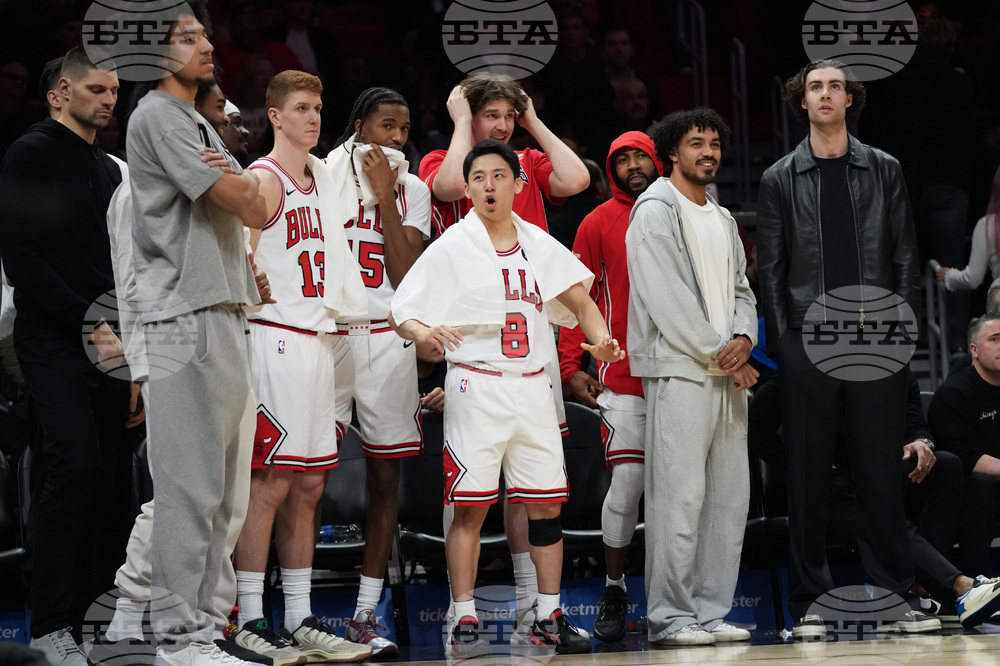 Bulls Heat Basketball