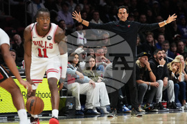 Bulls Heat Basketball