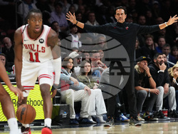 Bulls Heat Basketball