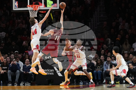 Bulls Heat Basketball