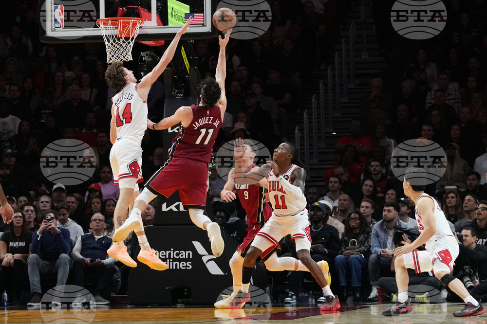 Bulls Heat Basketball