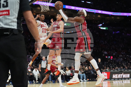 Bulls Heat Basketball