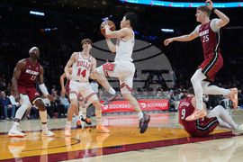 Bulls Heat Basketball