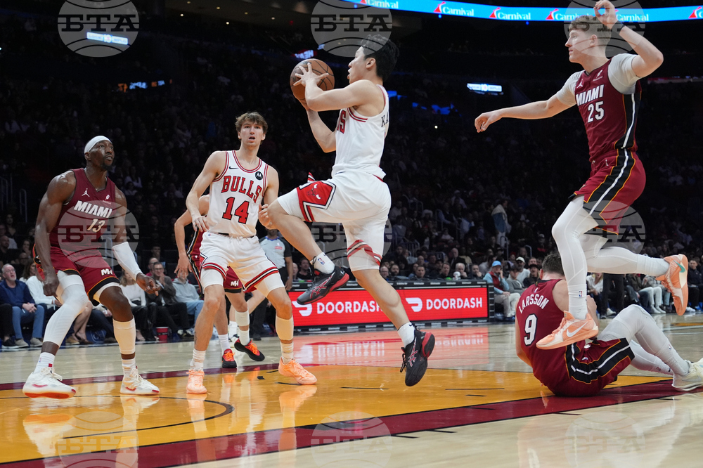 Bulls Heat Basketball