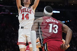Bulls Heat Basketball
