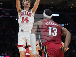 Bulls Heat Basketball