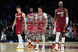 Bulls Heat Basketball