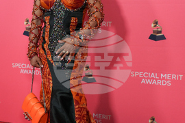 2026 Recording Academy's Special Merit Awards - Arrivals
