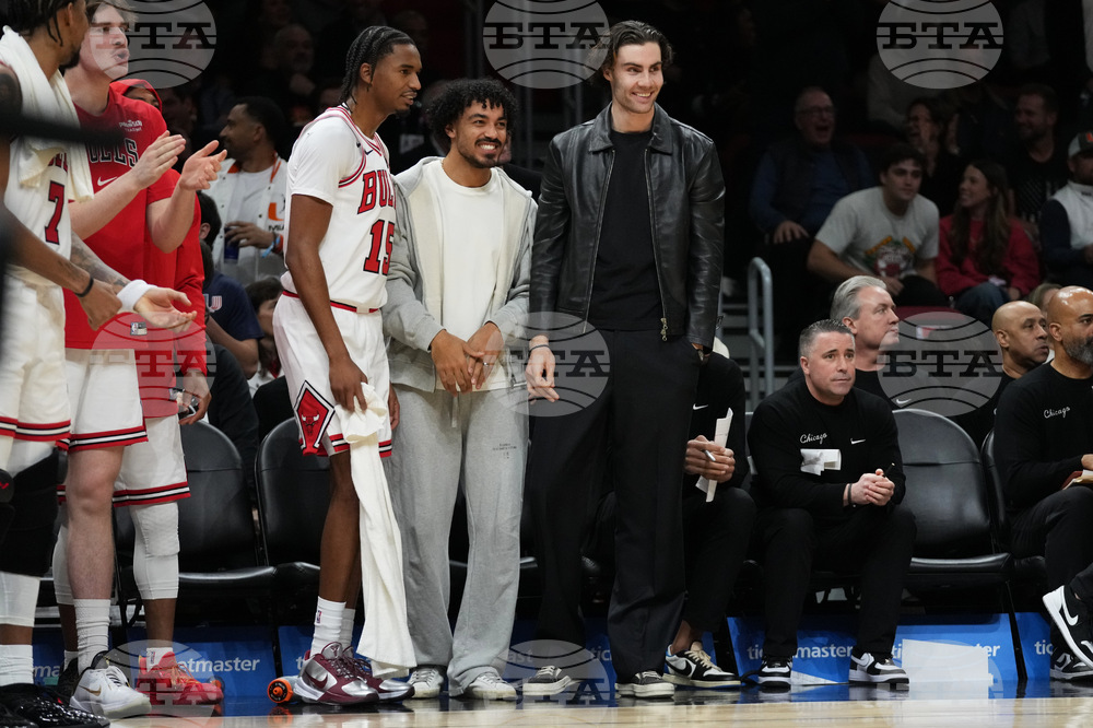 Bulls Heat Basketball