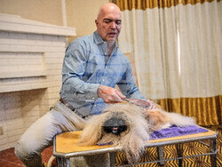 Westminster Dog Show 101